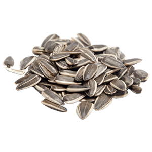 Sunflower seeds PNG-42950